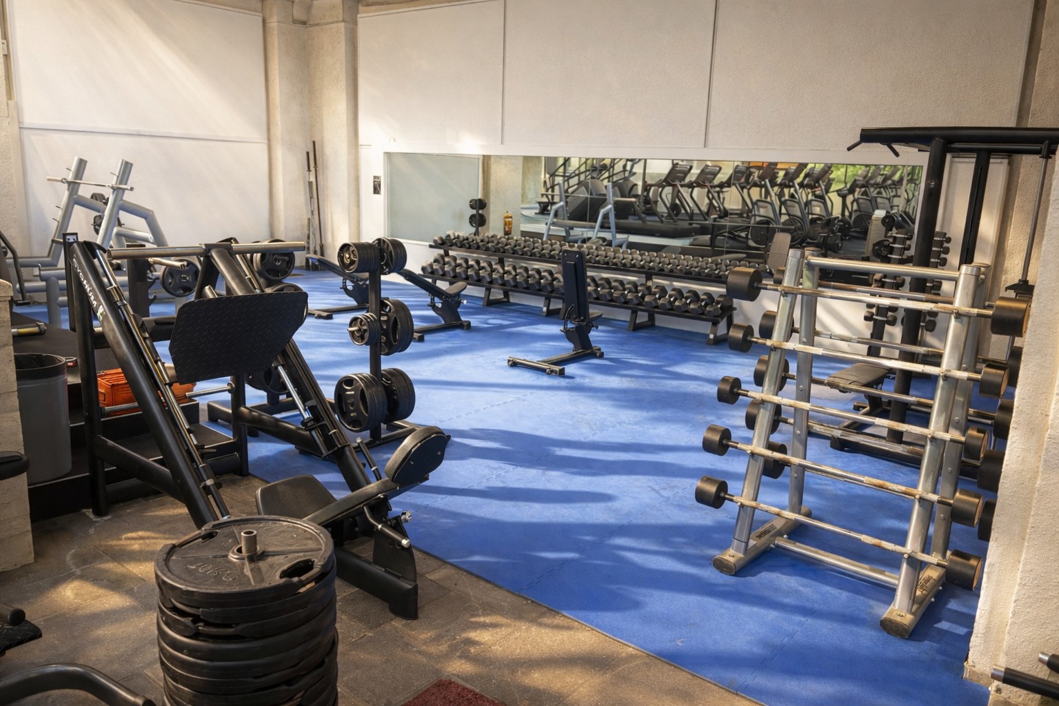jt_gym_free weights
